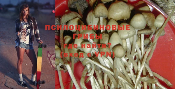 дживик Алзамай