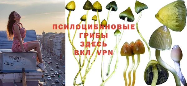 дживик Алзамай